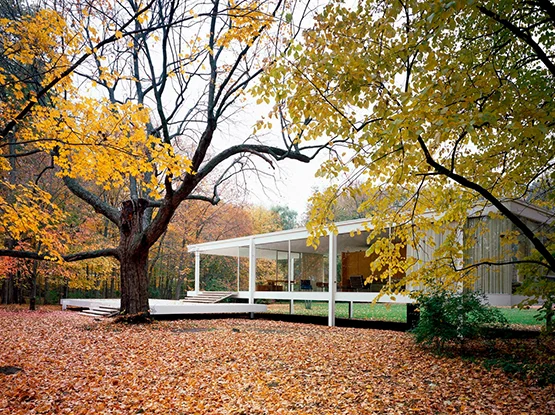 EXTERIOR: Casa Farnsworth. Mies van der Rohe 1946-51
